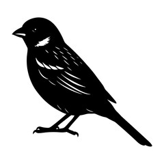 Sparrow Silhouette vector illustration