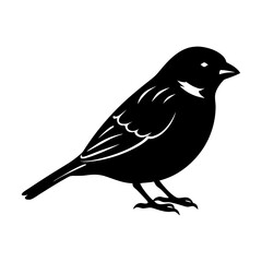 Sparrow Silhouette vector illustration