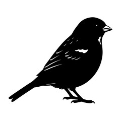 Obraz premium Sparrow Silhouette vector illustration