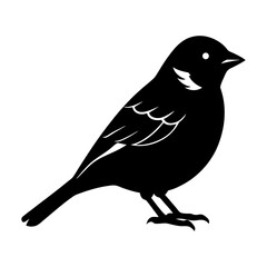 Sparrow Silhouette vector illustration