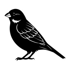 Sparrow Silhouette vector illustration