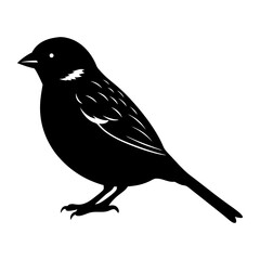 Sparrow Silhouette vector illustration