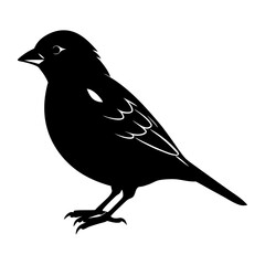 Obraz premium Sparrow Silhouette vector illustration