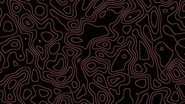 black and white seamless pattern