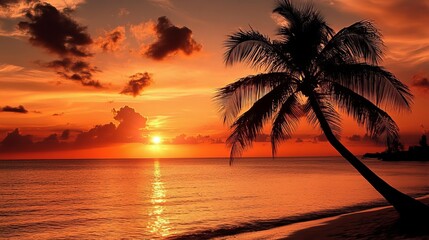 Stunning orange sunset over tropical beach palm tree silhouette ocean landscape sky sea day calm warm