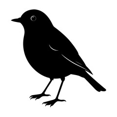 Obraz premium Robin Silhouette vector illustration