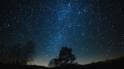 Night Sky Stars Trees Landscape