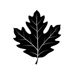Oak Leaf Silhouette vector illustration