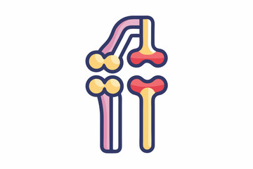 Knee Joint Icon with Bones Highlight