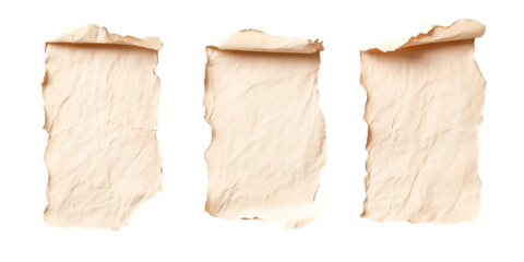 Antique Parchment Scroll: This image captures three antique parchment scrolls with edges carefully torn, each one presenting unique textures and evoking the history. 