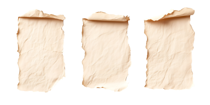 Antique Parchment Scroll: This image captures three antique parchment scrolls with edges carefully torn, each one presenting unique textures and evoking the history. 