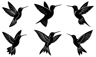 Obraz premium Hummingbird Silhouette vector illustration