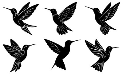 Hummingbird Silhouette vector illustration