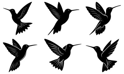 Fototapeta premium Hummingbird Silhouette vector illustration