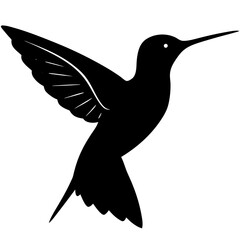 Hummingbird Silhouette vector illustration