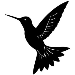 Hummingbird Silhouette vector illustration