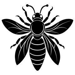 Hornet Silhouette vector illustration