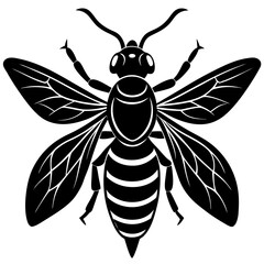 Hornet Silhouette vector illustration