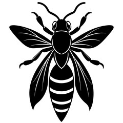 Hornet Silhouette vector illustration