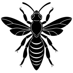 Hornet Silhouette vector illustration