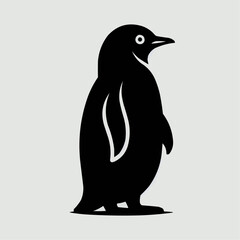 penguin on a white background