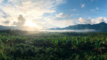 Breathtaking sunrise over lush banana farms mountainous region landscape photography tropical environment scenic viewpoint