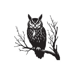 Obraz premium owl sitting on branch
