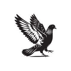 Obraz premium dove on white background