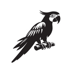 Fototapeta premium parrot on a white background