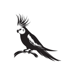 Fototapeta premium vector illustration of cockatiel