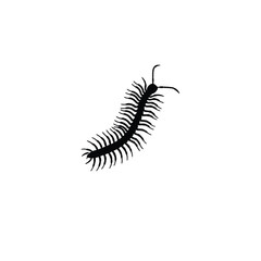 centipede silhouette on white background