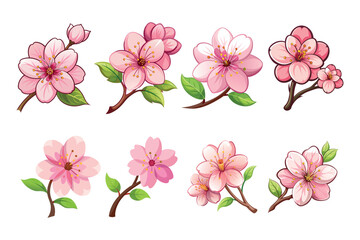 Illustration of blooming cherry flowers with branches and green leaves isolated