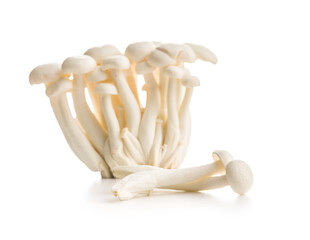 Raw white shimeji mushrooms isolated on white background.