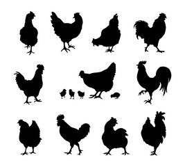 chicken and rooster silhouettes collection