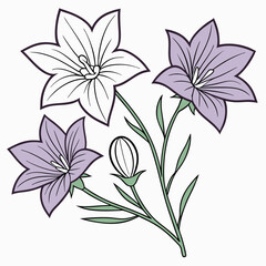 white background flower balloons