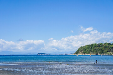 Fototapeta premium 神奈川県の逗子海岸