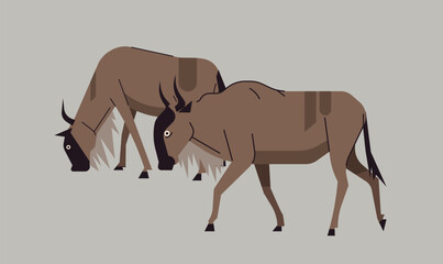 illustration of a wild buffalo couple, symbolizing strength, unity, and the power of wildlife