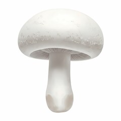 A mushroom illustration as white as jade