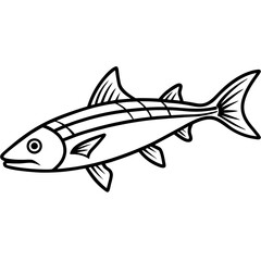 Barracuda Silhouette Vector Illustration