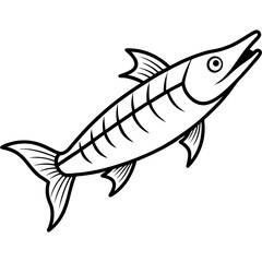 Barracuda Silhouette Vector Illustration