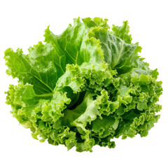 Fresh, crisp lettuce salad leaves isolated on a clean transparent background, perfect for healthy meals and garnishes, Lettuce salad leaves isolated on transparent background