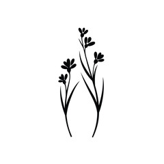 Elegant black wildflowers silhouette on white background simple minimalist botanical illustration