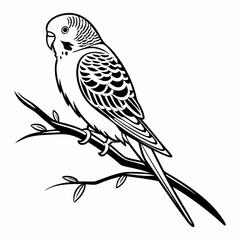 Black and White Vector Illustration of a Budgerigar on a Branch, Isolated.