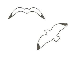シンプルなカモメのイラスト