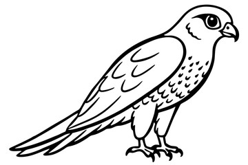 Elegant Kestrel Outline