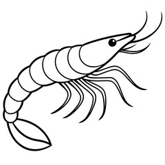 Continuous Line Shrimp Vector Art