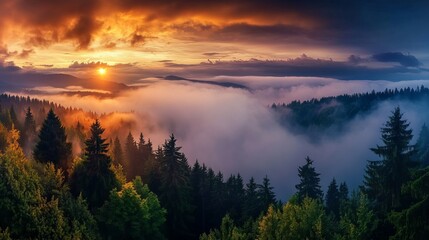 Obraz premium Majestic sunrise over misty mountain forest landscape with golden clouds fog sky awe view calm pine