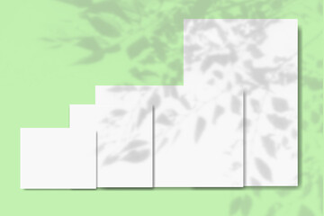 Natural lighting casts shadows from the leaves and branches of a tree on several horizontal and vertical sheets of white textured paper against a background of a green wall. Mockup