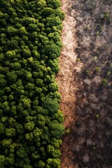 Top-down view of dense green forest gradually fading into barren dry land, natural ecosystem transition and warning message