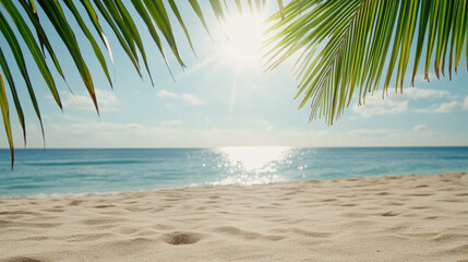 Sunlight filtering through palm leaves on sandy beach, creating serene atmosphere